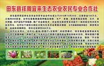 生态农业 农 业合作社 合作社