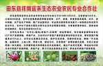 生态农业 农 业合作社 合作社