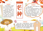 芒种小报