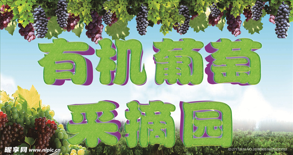 有机葡萄