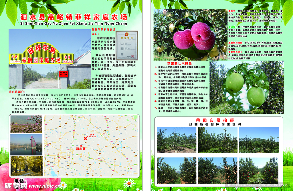 苹果