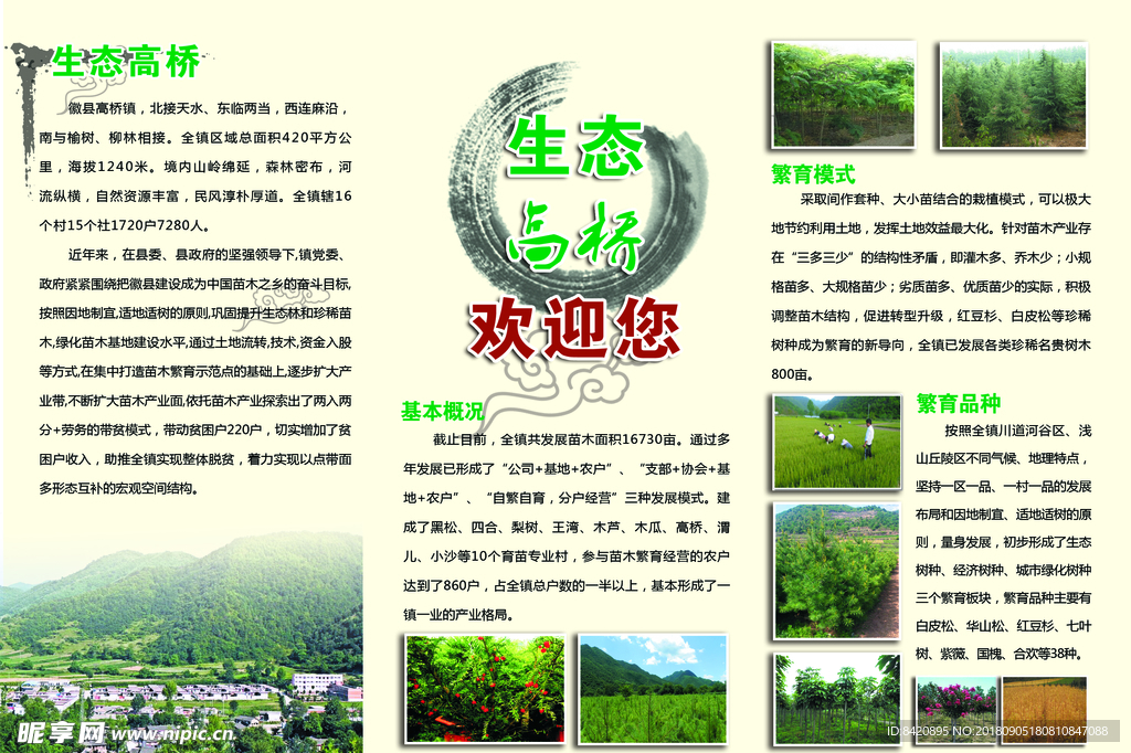 三折页