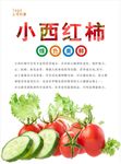 西红柿海报