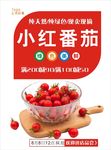 西红柿海报
