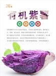 紫薯海报