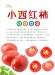 西红柿海报