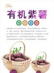 紫薯海报