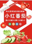 西红柿海报