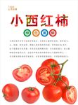 西红柿海报
