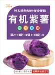 紫薯海报