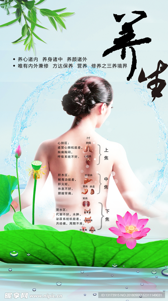 养生荷花理疗海报