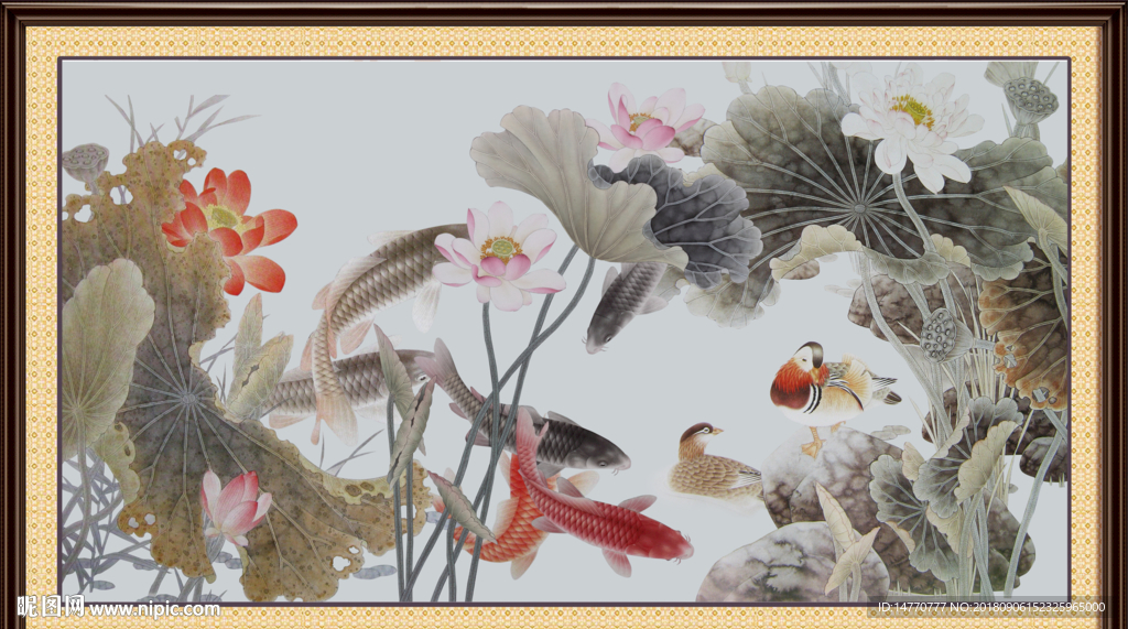 荷花 鲤鱼图