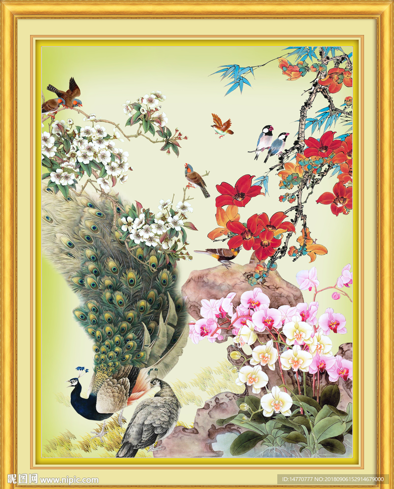孔雀花鸟