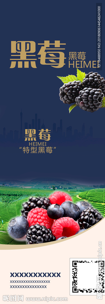 黑莓海报