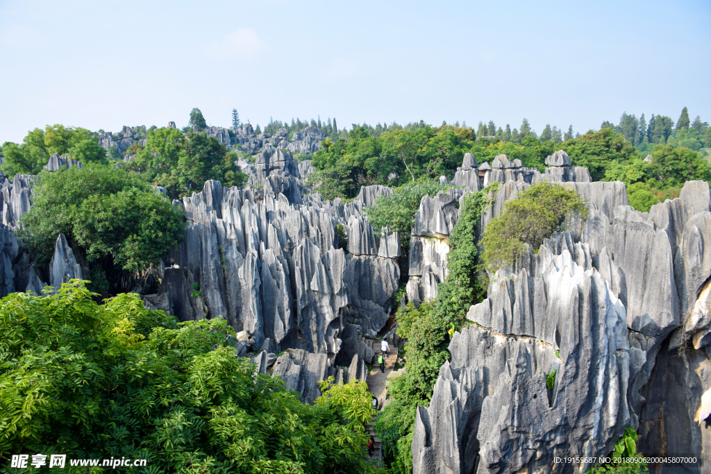 石林风景