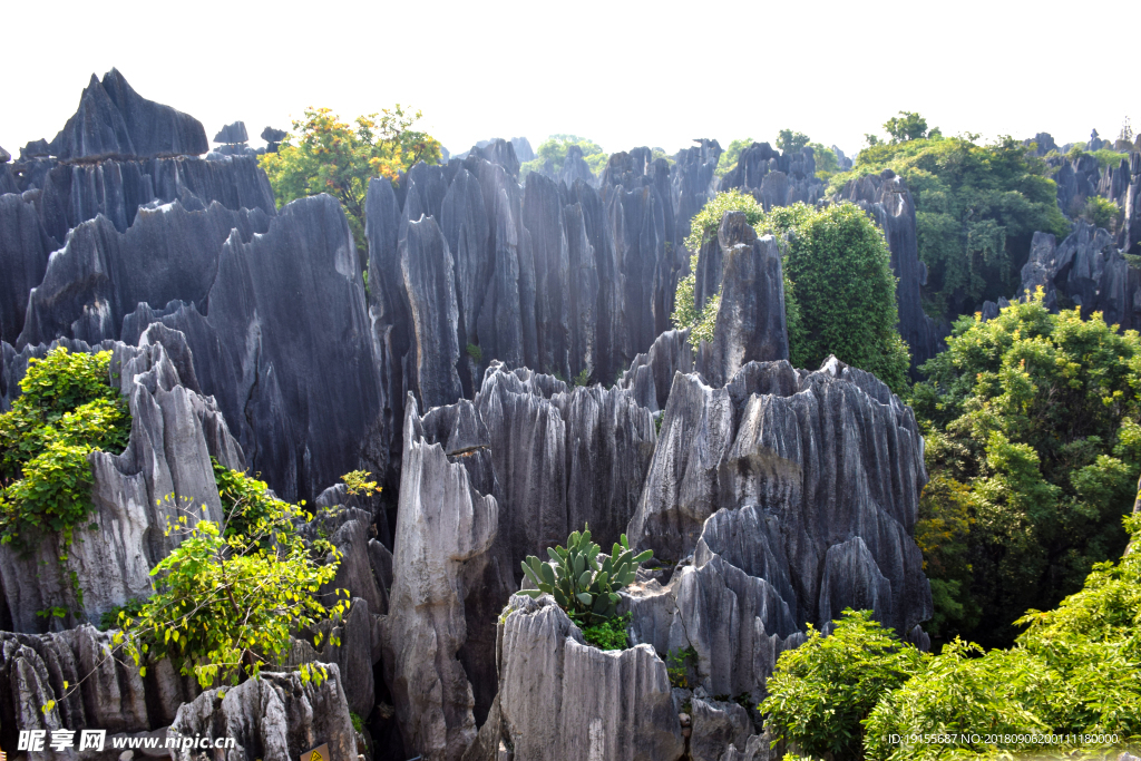 石林一景