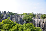 石林一景