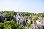 石林风景区