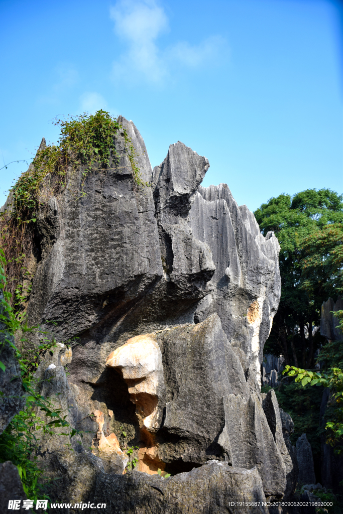 石林一景