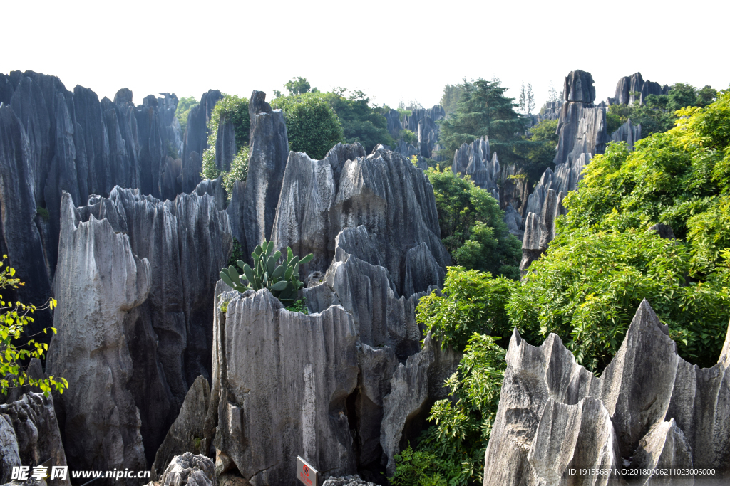 石林一景