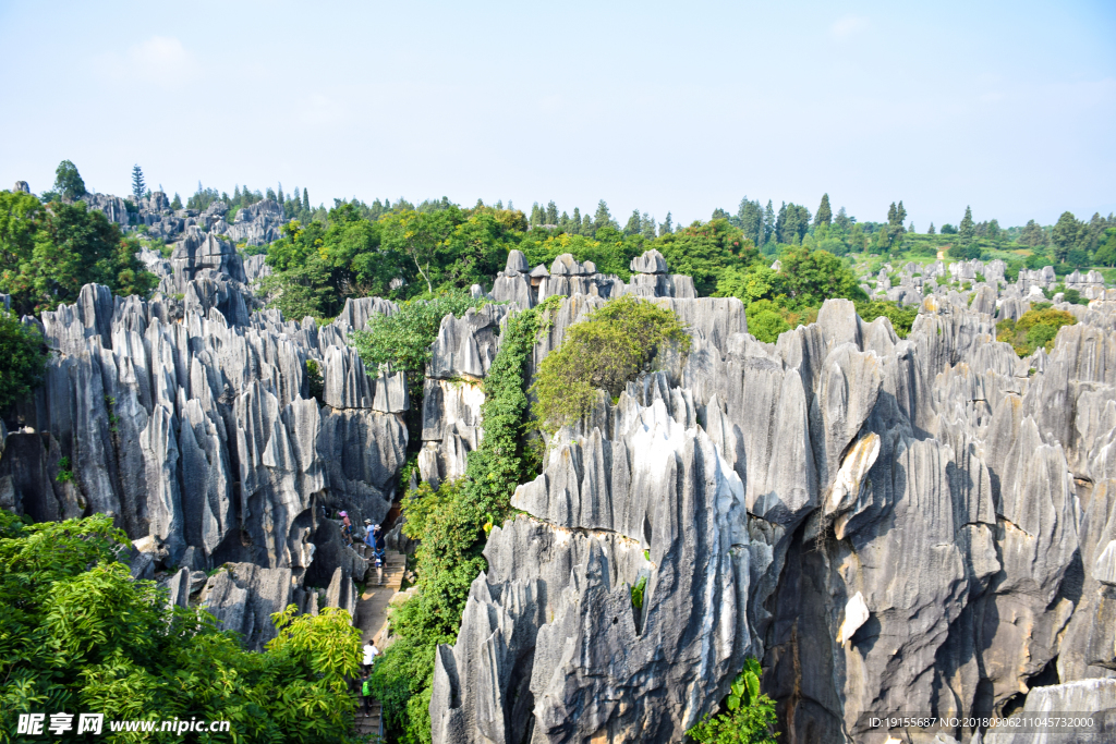 石林风景