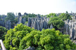 石林一景