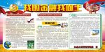 我的金融我做主