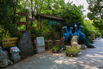 天香园