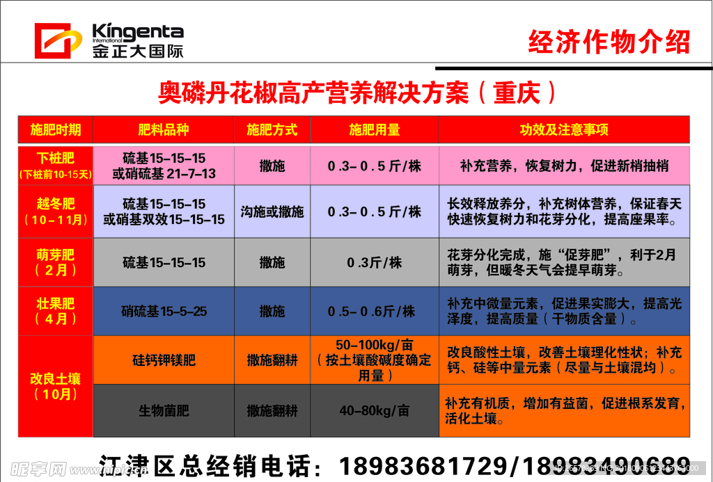 金正大国际