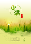 小满 小满赶会 万物长 少盈满