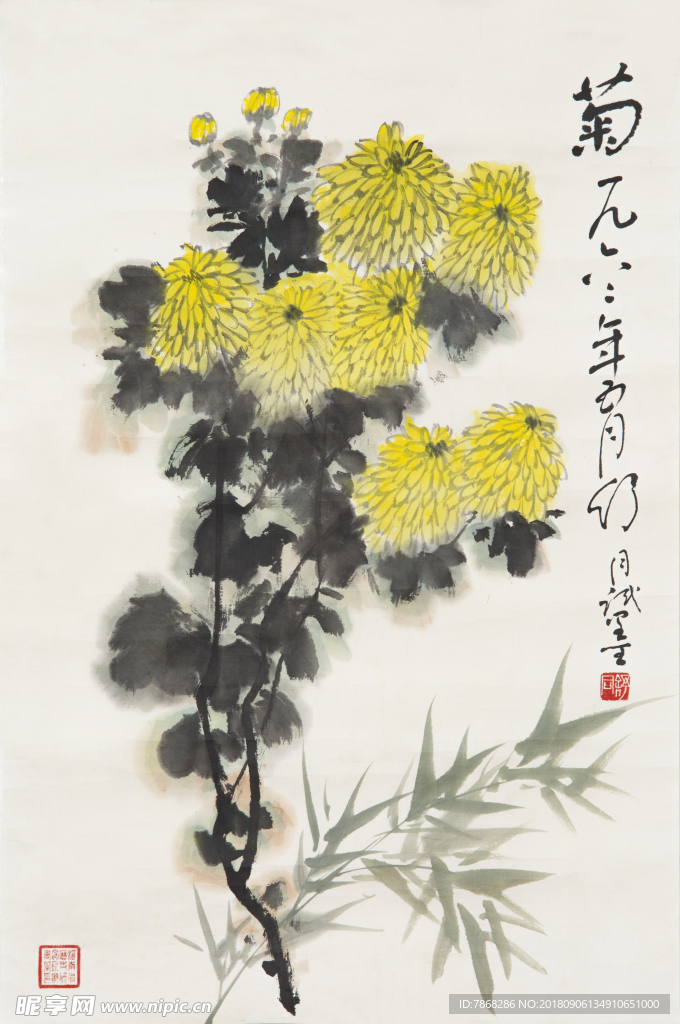 菊花