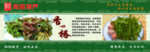 特产香椿简介单