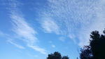 晴天