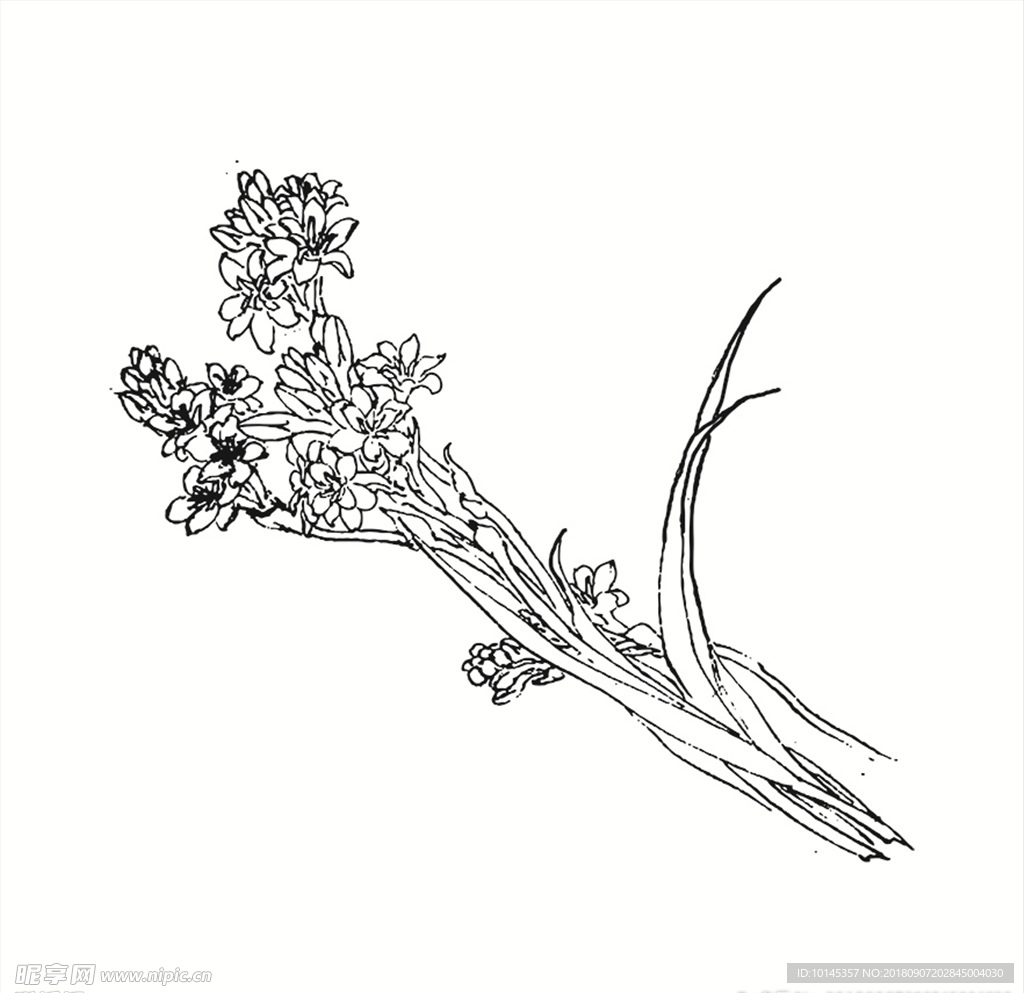 花束