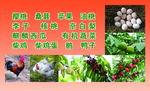 蔬果名片