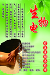 生物电