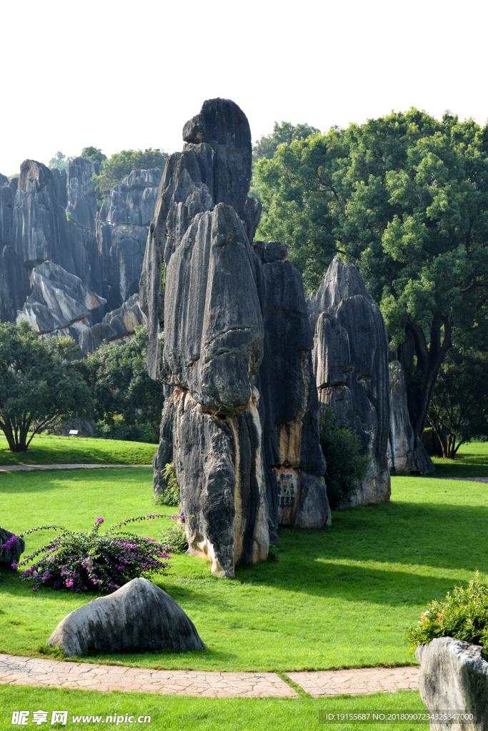 石林风景