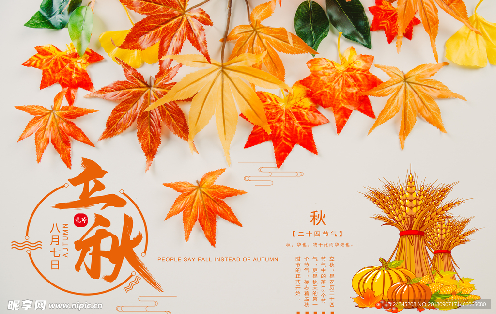 二十四节气立秋