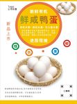 咸鸭蛋海报