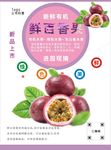 百香果海报