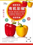 彩辣椒海报