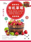 草莓海报