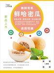 哈密瓜海报