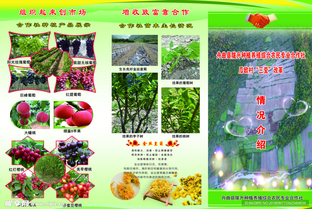 三折页