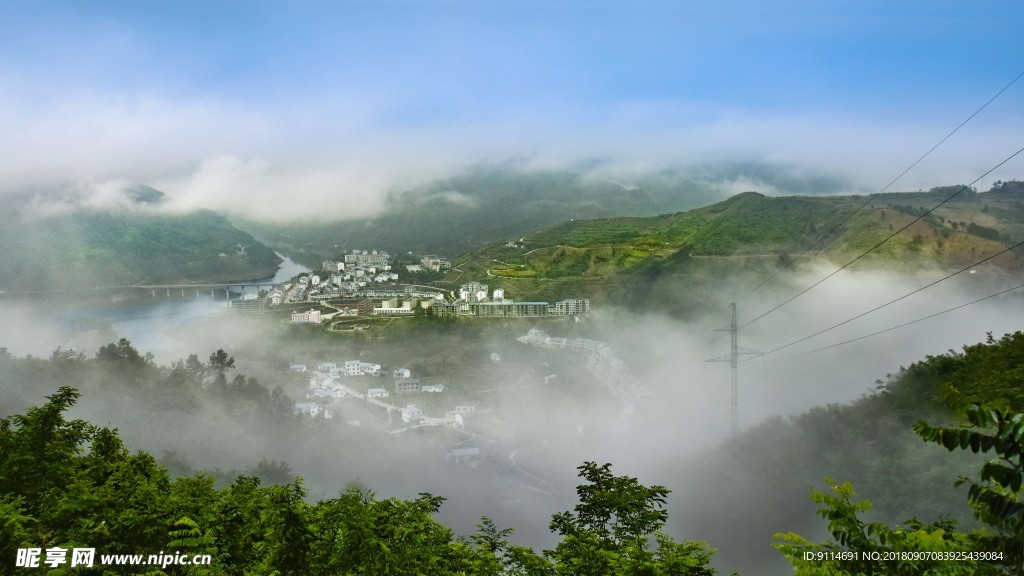 新洲全景