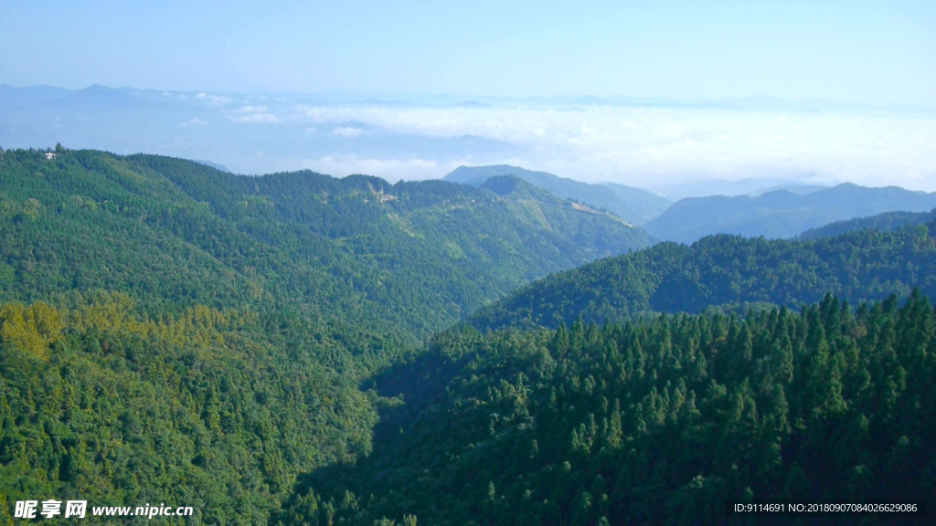 百里林海