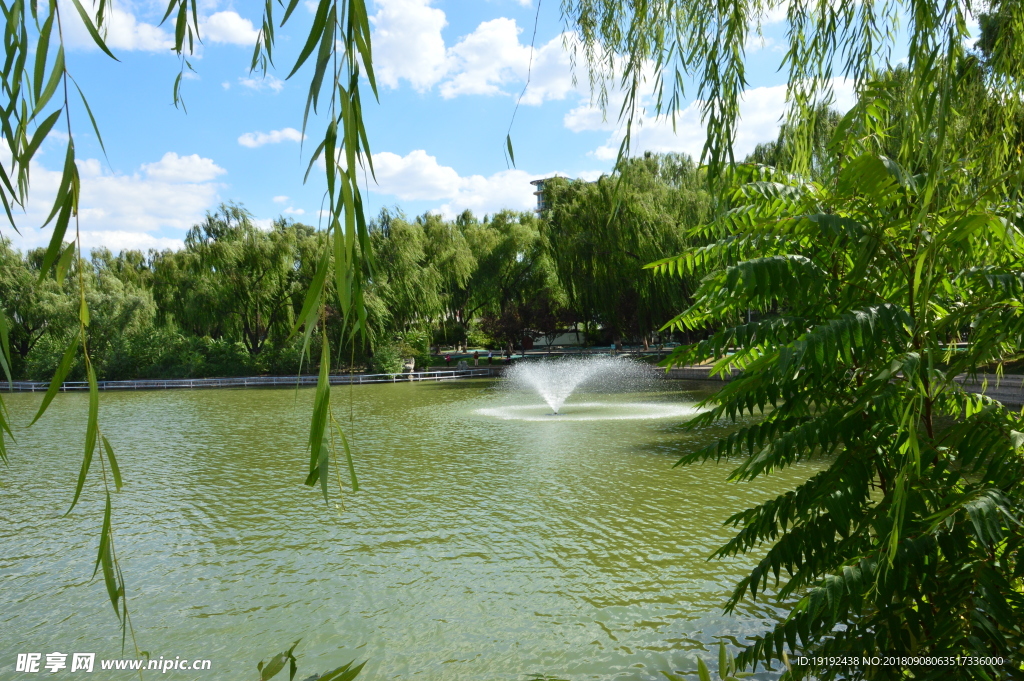 龙潭湖风景