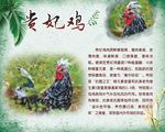 贵妃鸡