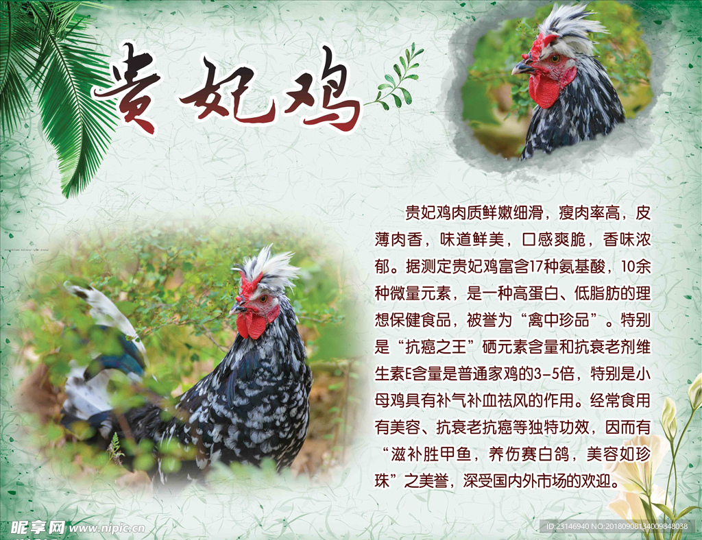 贵妃鸡