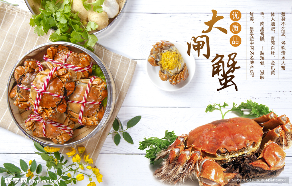 大闸蟹主图